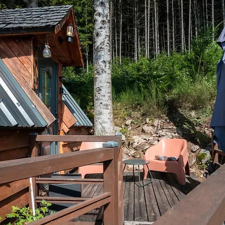 Des Marchous Hébergement de vacances Granges-Aumontzey