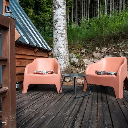 Des Marchous Hébergement de vacances Granges-Aumontzey